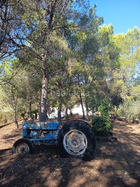 Foto c7e18d8c-90bc-410c-9f6c-c4abab990d13. Chalet  en venta , 7 dormitorios. en Ulldecona