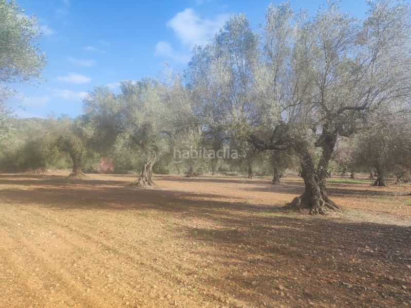 Foto 0ac8923f-b21a-426c-a361-bd523b8f66a5. Masia a la cogula a Ulldecona
