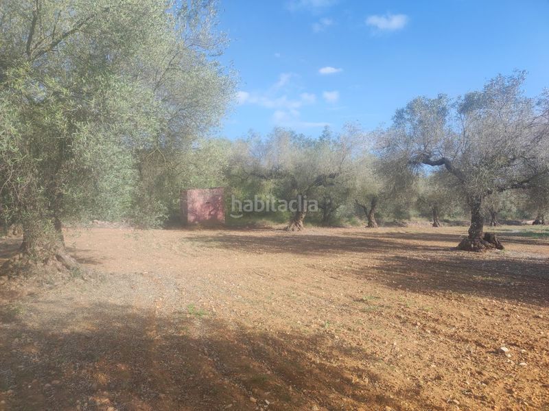Foto 582aa24f-60c4-4711-8df9-4f1d1fb95a6d. Masia a la cogula a Ulldecona
