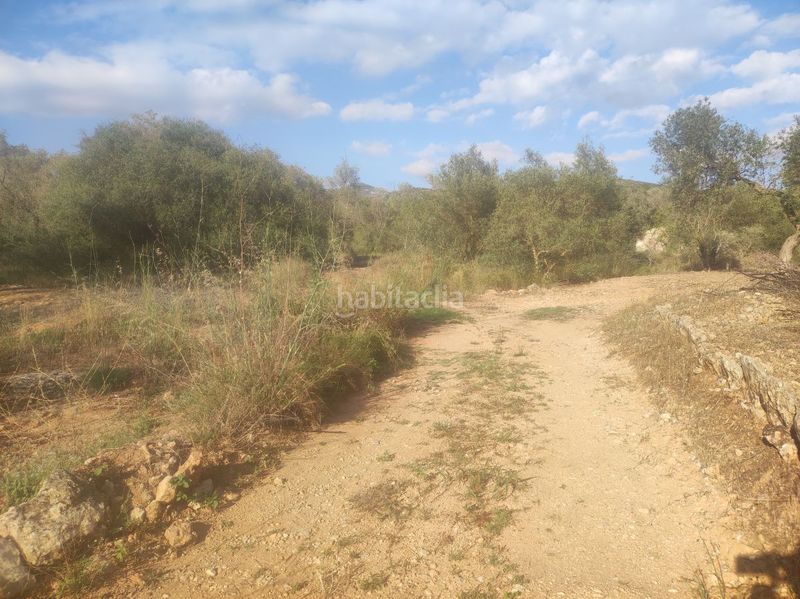 Foto 64a79468-82ef-4601-b0f6-d6ead5219cd2. Masia a la cogula a Ulldecona
