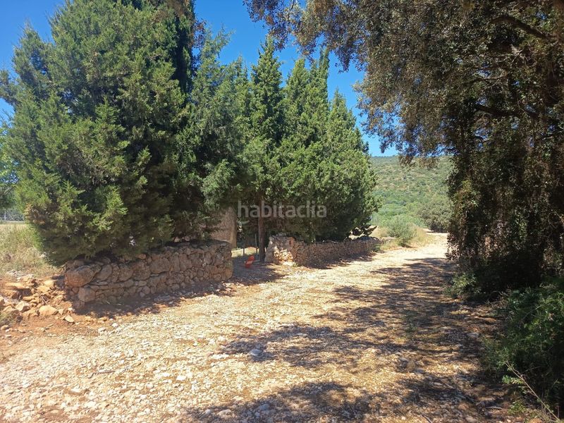 Foto 22d7adf3-894b-4d8f-a400-68fa978d9f4a. Masia a Freginals