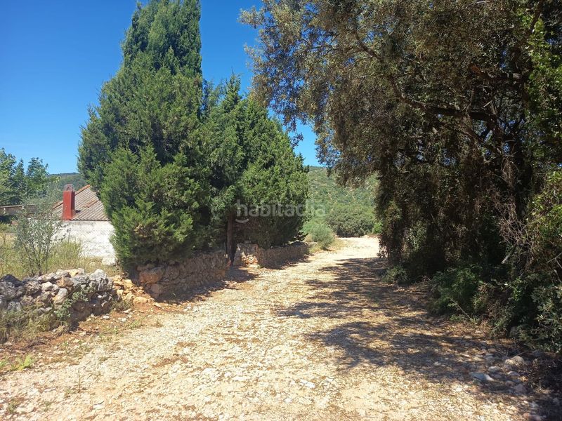 Foto 5702d47f-e211-4b60-9172-2ad0a2f5b7a5. Masia a Freginals