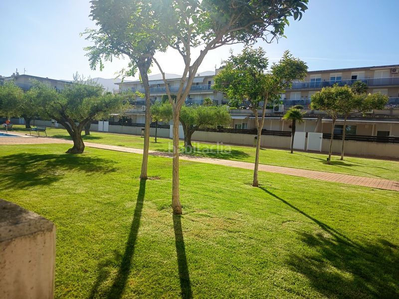 Foto 89575457-82ef-4f50-ba10-6e6170e6cffc. Lloguer apartament amb calefacció piscina a Alcanar