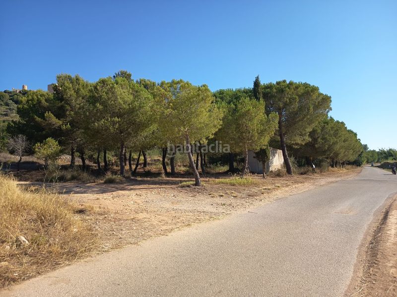 Foto 4b496293-042a-4510-ba6a-9c5c87278fc4. Masia amb piscina a Ulldecona