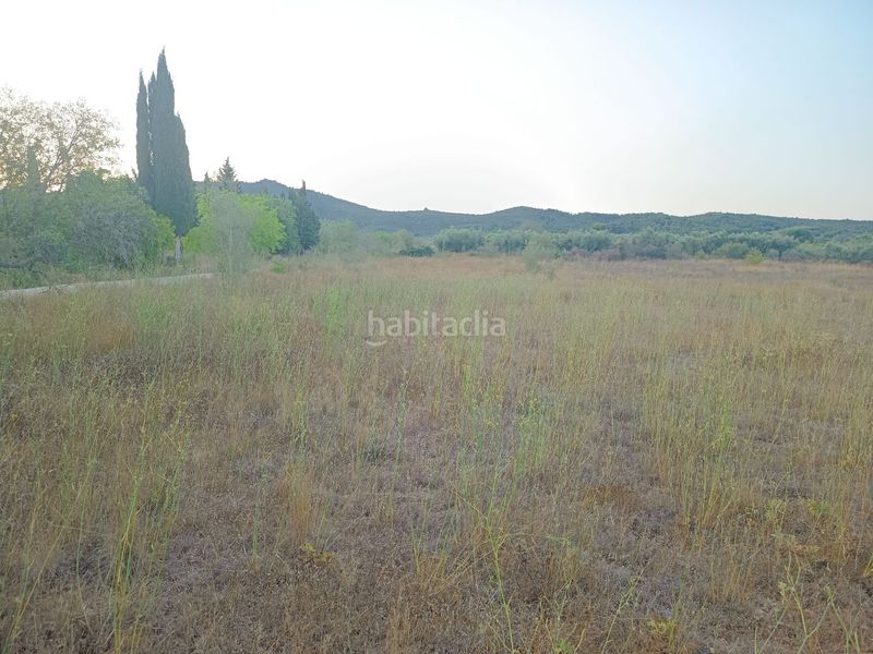 Foto 4a743f84-b21c-4116-b9fd-97581542933c. Masia a Ulldecona