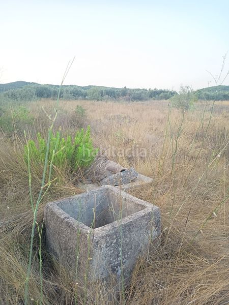 Foto 90606840-56e6-4ed3-9dd3-c9f2e16a0826. Masia a Ulldecona