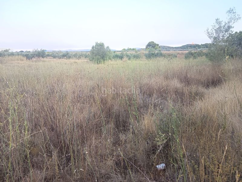 Foto 992edc45-779a-4cdd-b6c7-335e71480370. Masia a Ulldecona