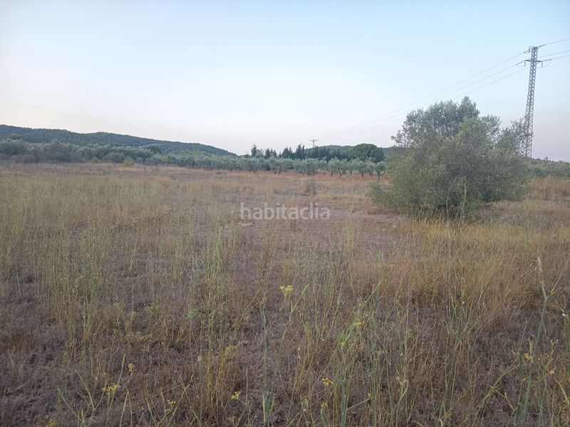 Foto 99bca58f-2e7a-42f7-bec5-cef3b7aebd14. Masia a Ulldecona