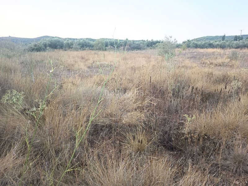 Foto abb90f02-d45f-4a61-bf4c-427c5d609d17. Masia a Ulldecona