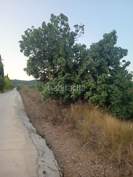 Foto e7d239f9-2dfe-4f13-8071-a0ade5aa0ae2. Masia a Ulldecona