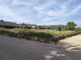 Terreny residencial a Avinguda terrers a8. Solar en venta en ulldecona.