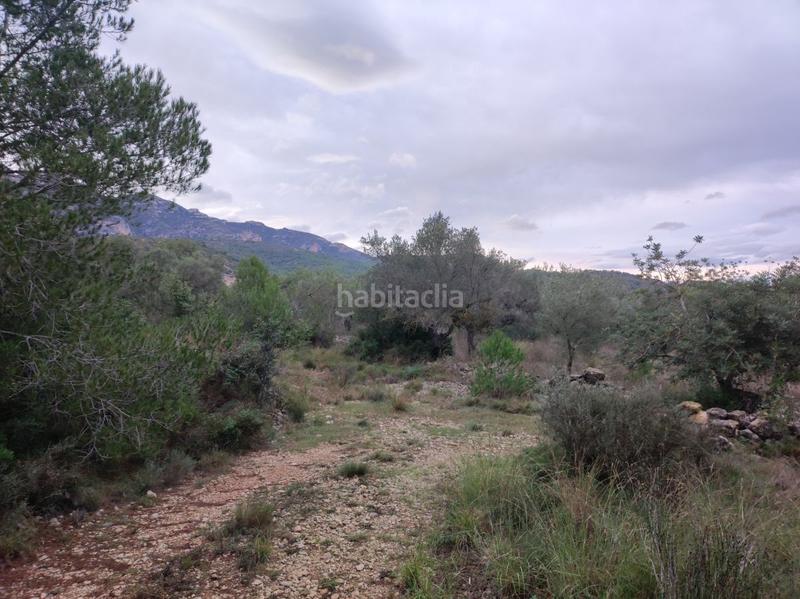 Foto 733e11db-cda5-432b-861a-8390b64cce90. Wohngrundstück in martinenca in Alcanar