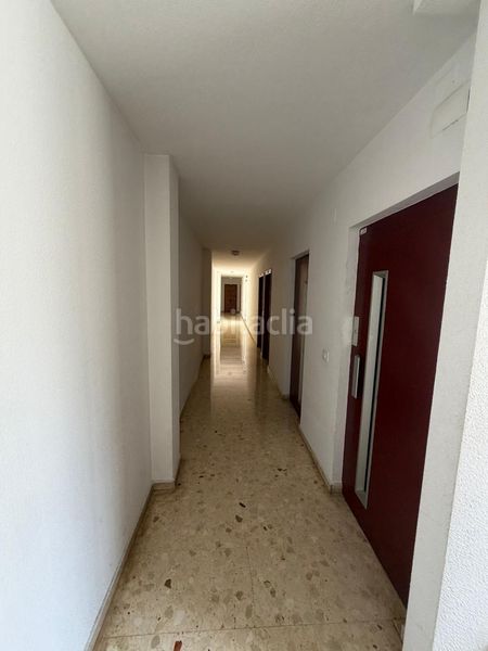 Foto 47a27dc4-b580-4bcc-9fe1-4c2503fb4acb. Pis a Alfafar