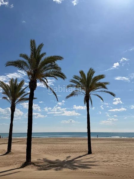 Foto 03d53302-138e-4cb0-8991-88b2e49e3c71. Pis a Sant Antoni Cullera