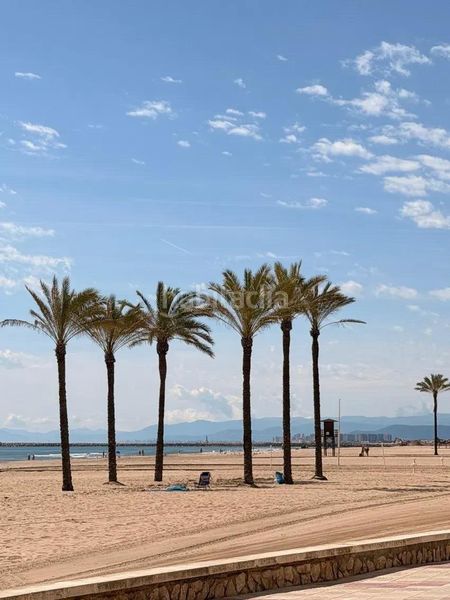 Foto d7c1a945-b01f-4032-900b-9b2d8c92b898. Pis a Sant Antoni Cullera