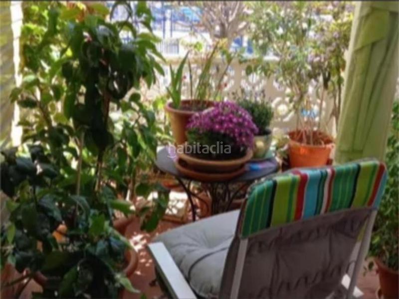 Foto dce575d6-6aad-4f2b-974a-7c93b6b1bbc3. Pis a Sants Patrons Alzira