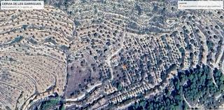 Finca rústica a Cervià de les Garrigues. Finca rústica pda.sucarrats, amb una  petita edificació , 25460