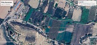 Rural plot in N/a. Finca rústica , pda. ascanas  25400 les borges &gt;blanques