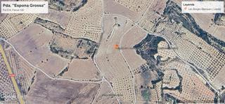 Finca rústica en N/a. Finca de regadiu pda. espona grossa