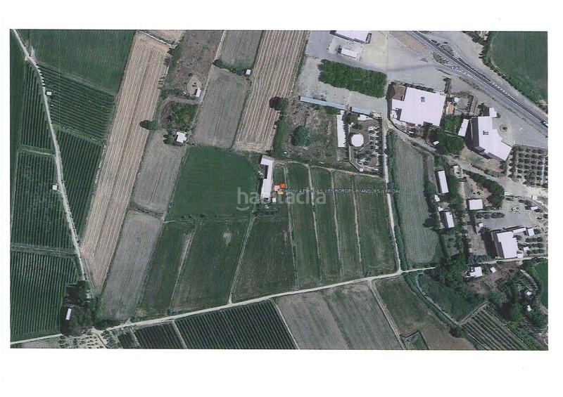 Foto 193fb4aa-352e-4ec3-b085-731861d0996e. Finca rústica a Borges Blanques (Les)