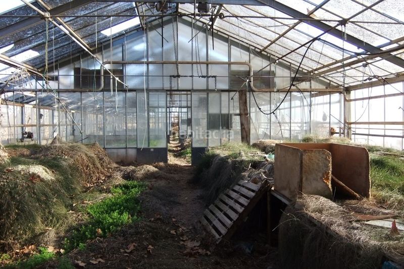 Foto 559f1f46-764d-464a-9172-2f5603b43f1b. Solar industrial a Borges Blanques (Les)