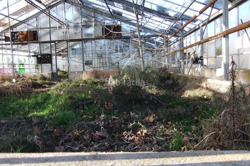 Foto dbe23e8b-3646-4165-80fd-f7df9f8b09bb. Solar industrial a Borges Blanques (Les)