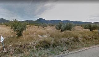 Finca rstica  Cv-814. Terreno en pea rubia