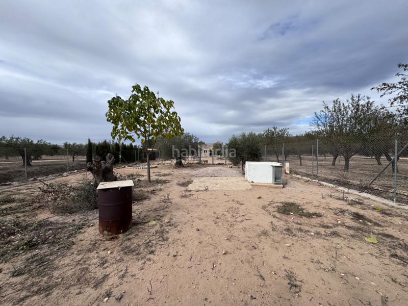 Foto f0ea027a-37cf-4379-afa5-c4d7b168bd1b. Landgut in Las Tiesas Villena