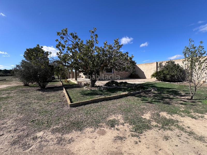 Foto cd99357d-31d0-4f31-b4f1-296264d36537. Finca rústica a Cabanes y Las Fuentes Villena