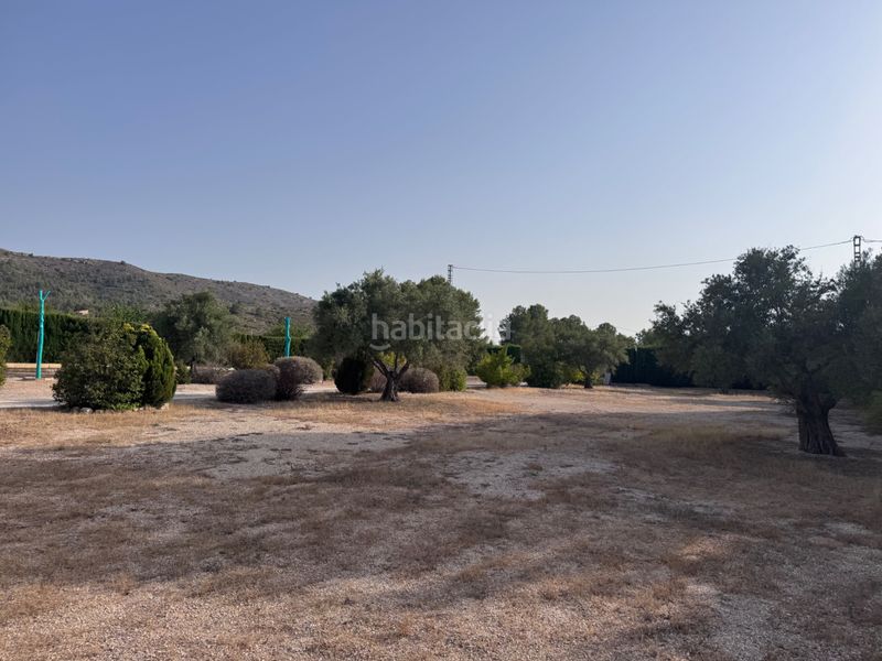 Foto dbd05fa3-a819-48ce-97b5-3b76df618185. Finca rústica a San Francisco Villena