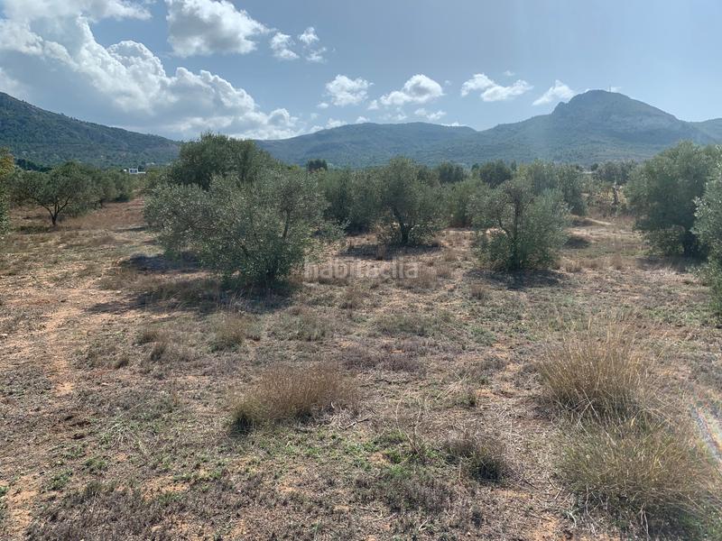 Foto 71b0da7d-cdba-4d51-b608-a8e132b13822. Fondo rustico in Las Tiesas Villena