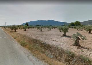 Finca rstica  Cv-814. Terreno en las tiesas