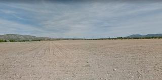 Finca rstica  Cv-814. Terreno en pea rubia