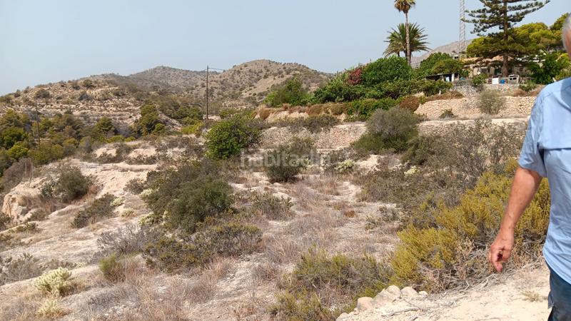Foto b6042dba-4d47-4e2d-83d5-6d2c4334f42b. Finca rústica en partida alcocons 35 finca de 10.047 m² en Vila Joiosa (la)