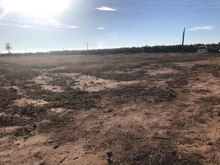 Terreny residencial a Moncada. Se vende terreno rústico,uso agrario en zona borbotó  valenciade