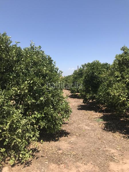 Foto 485a67c8-040e-403f-bcb0-be11f8f74036. Landgut in Foios