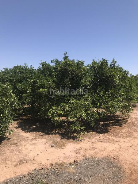 Foto b6a123dd-04ba-4e7d-9740-355c98a8de24. Landgut in Foios