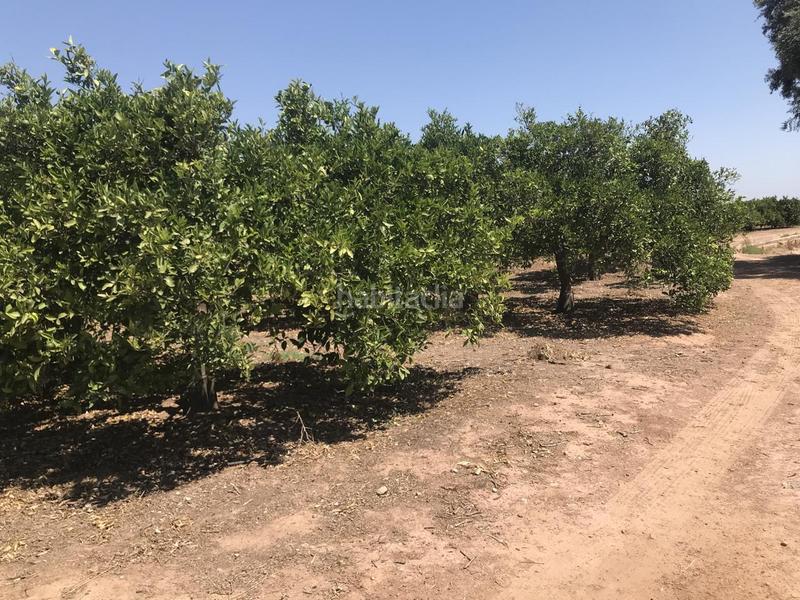 Foto d9382967-a4f2-4a66-b5b9-93f774356d46. Landgut in Foios