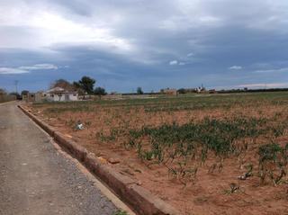 Casa a Moncada. Venta finca rústica de uso agrario en la huerta de moncadavalenc