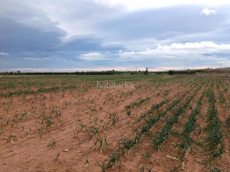 Foto 1315aa82-3d26-4d95-a596-6424b192a0ed. Casa a Moncada