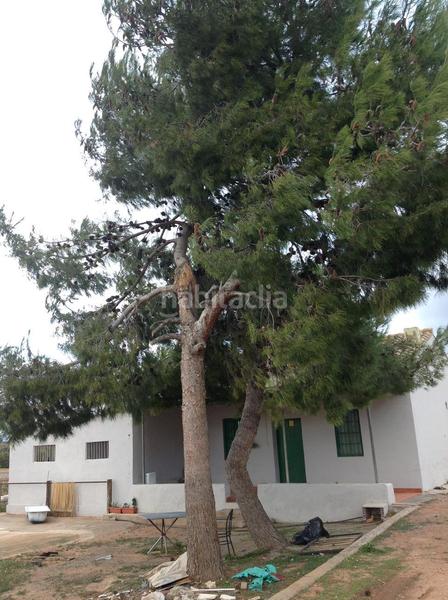 Foto bb6accda-23fb-4081-bc9a-1a99df1ee722. Casa a Moncada