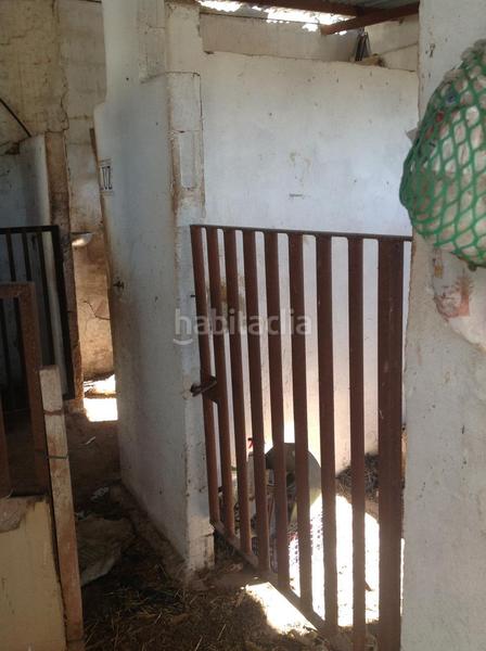 Foto ea8cd225-556e-4d3a-b1e3-66426544dc4d. Casa a Moncada