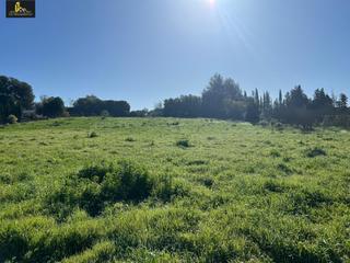 Terreny residencial a El Rocío - La Milagrosa