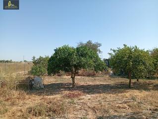 Residential Plot in El Rocío - La Milagrosa