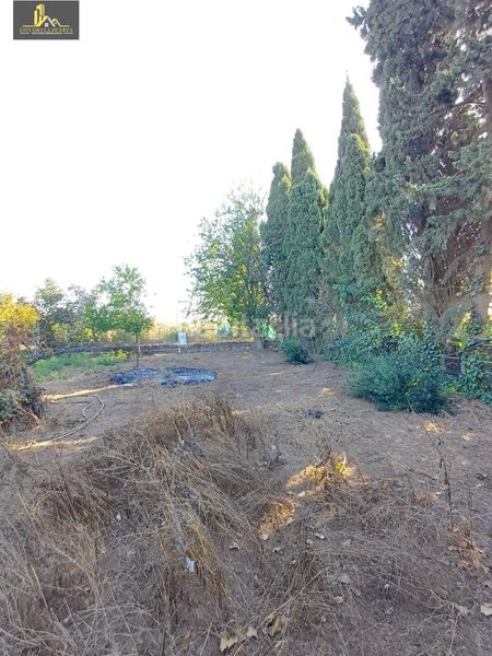 Foto f1610e5a-8cda-4185-9203-dd7509757b8a. Masia a Parque Atlántico - Ronda este Jerez de la Frontera