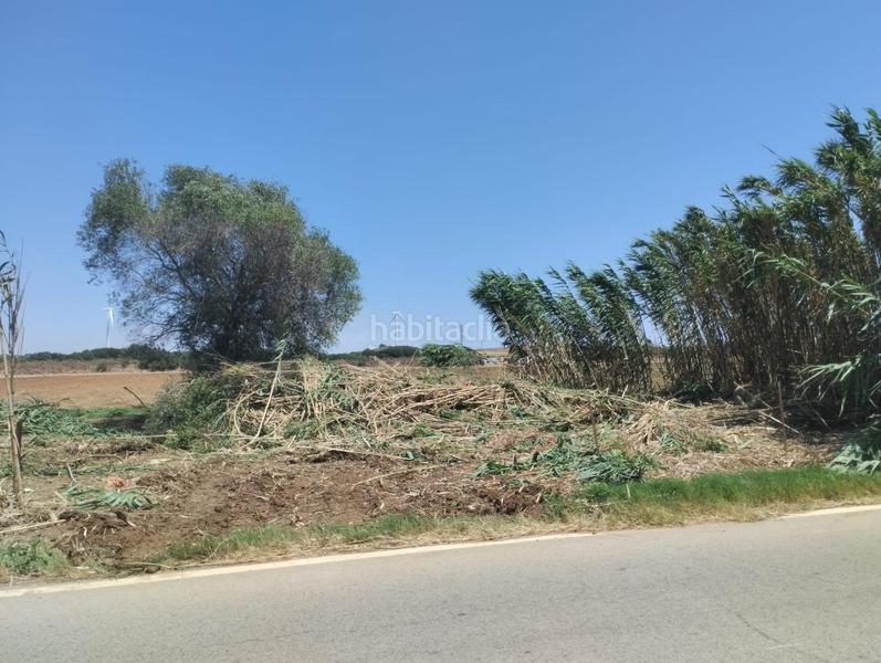 Foto 023cf651-d8d3-4537-a767-1ea8b20b4936. Finca rústica estupenda parcela en ctra. bolaños 500m2 en Jerez de la Frontera