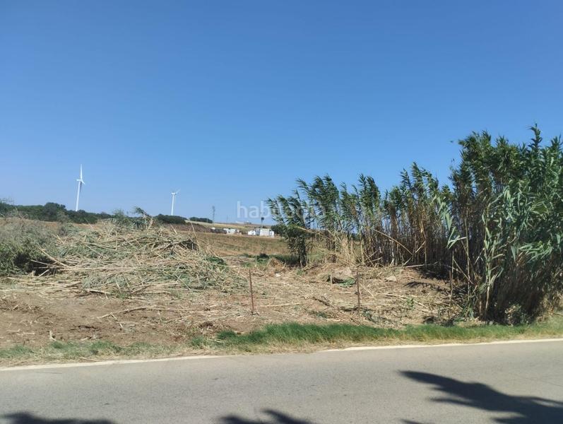 Foto a5bbf6ce-e014-49a6-a72b-83ef3777c698. Finca rústica estupenda parcela en ctra. bolaños 500m2 en Jerez de la Frontera