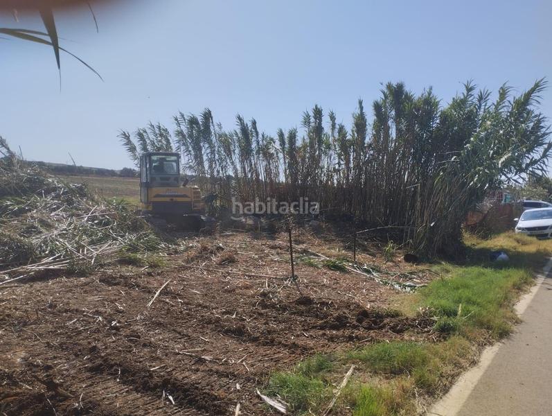 Foto c69862c1-14cb-491c-a707-76f26c7acf85. Finca rústica estupenda parcela en ctra. bolaños 500m2 en Jerez de la Frontera