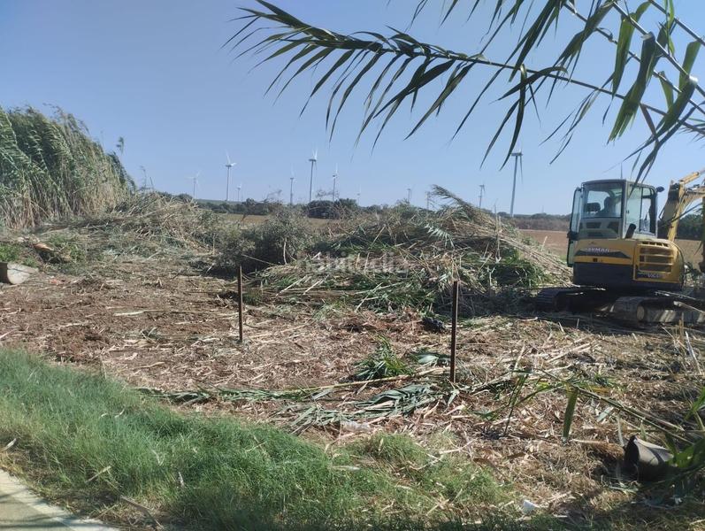Foto d304c4dd-2a9b-438b-97d6-4a399f4311fd. Finca rústica estupenda parcela en ctra. bolaños 500m2 en Jerez de la Frontera