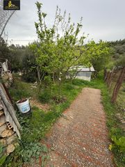 Finca rústica a El Rocío - La Milagrosa. Parcela  de 1000m2 con caseta en zona montecastillo
